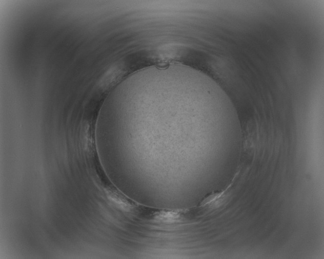 X0000060550140200511031226