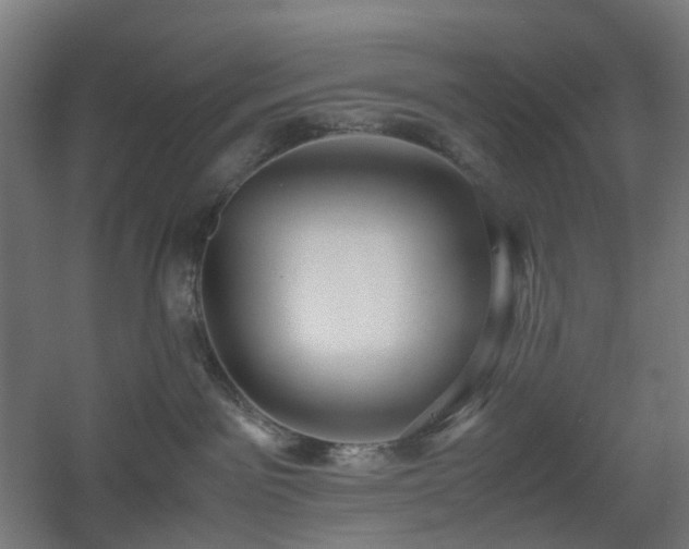 X0000060550141200511031226