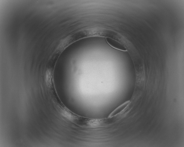 X0000060550142200511031226
