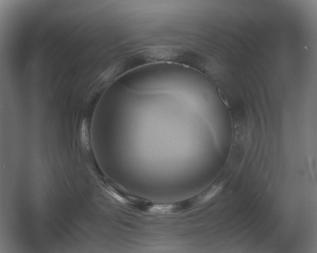 X0000060550143200511031226