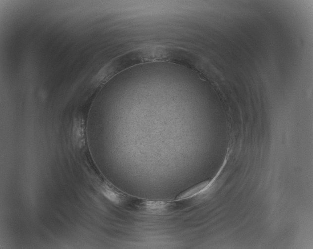 X0000060550144200511031226