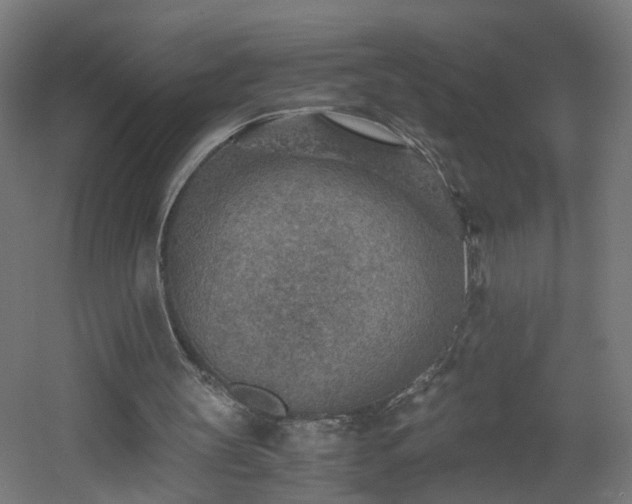 X0000060550147200511031226