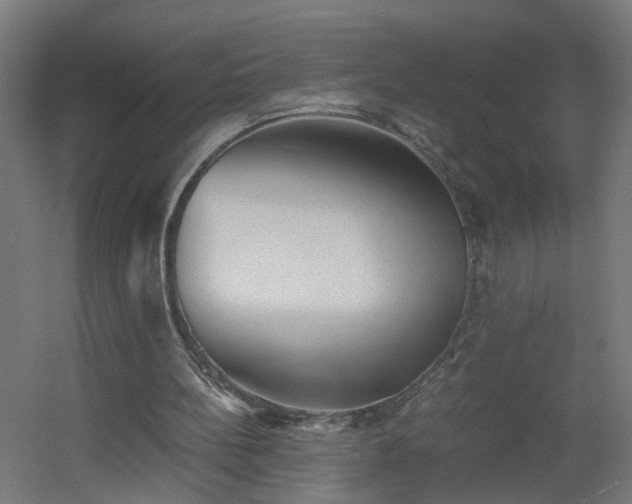 X0000060550148200511031226