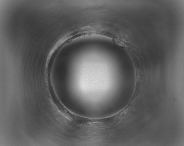 X0000060550150200511031226