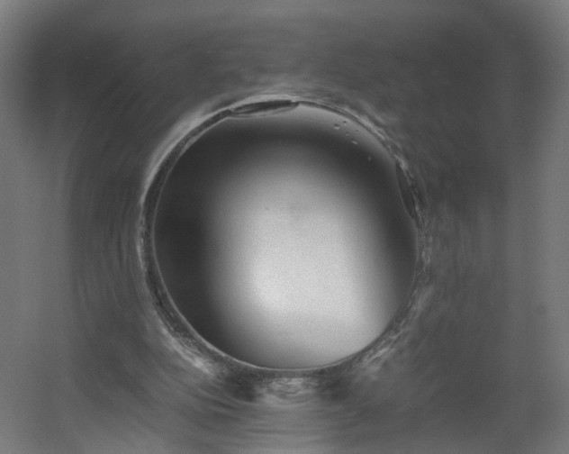 X0000060550152200511031226