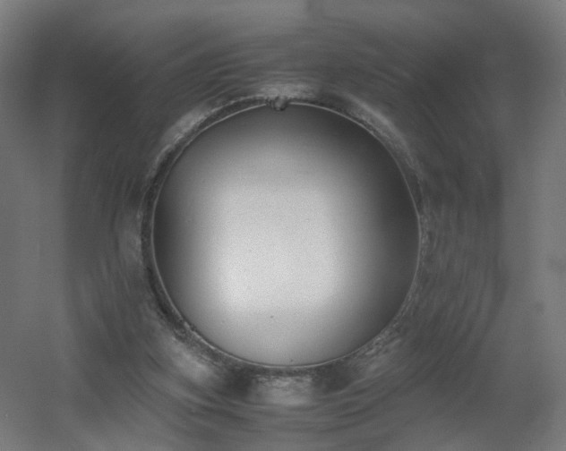 X0000060550155200511031226