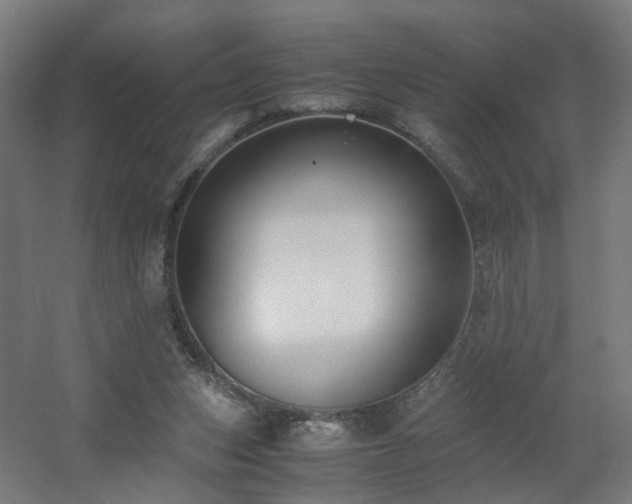 X0000060550159200511031226