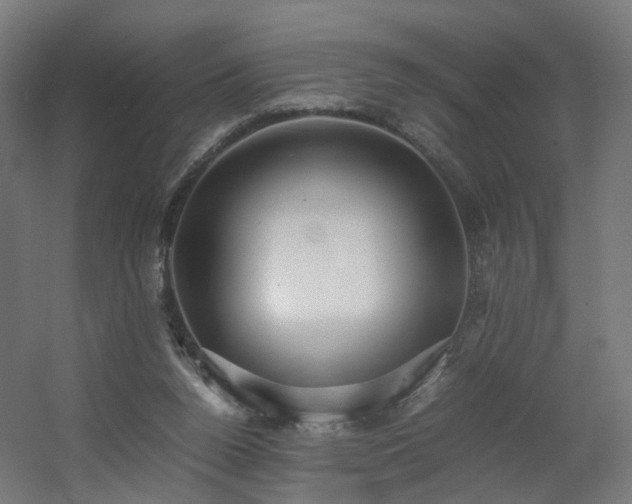 X0000060550160200511031226