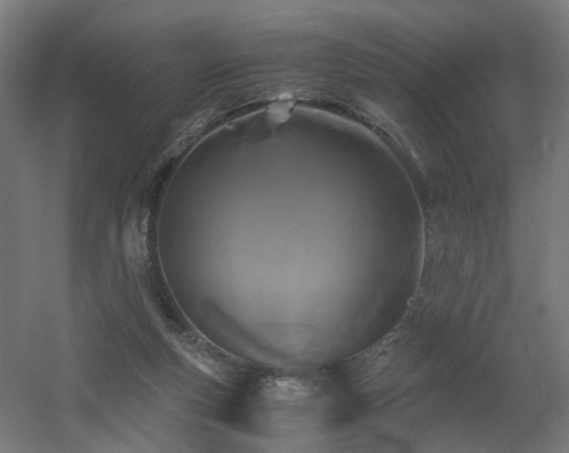 X0000060550163200511031226