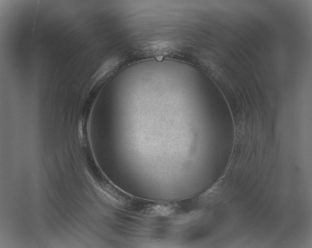 X0000060550166200511031226