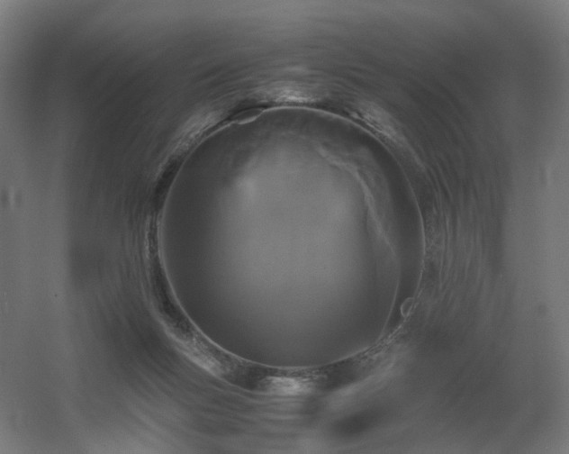 X0000060550167200511031226