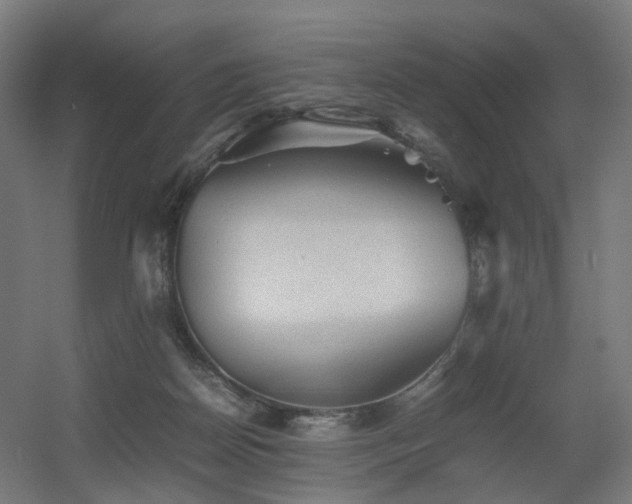 X0000060550170200511031226