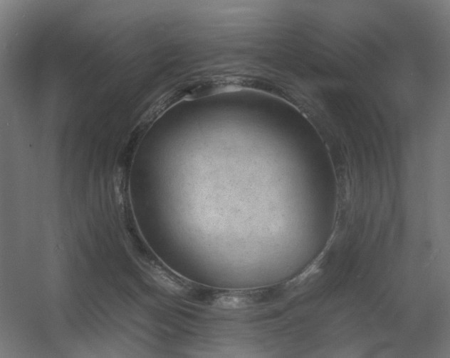 X0000060550174200511031226