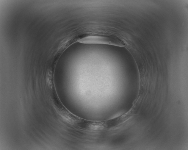 X0000060550175200511031226