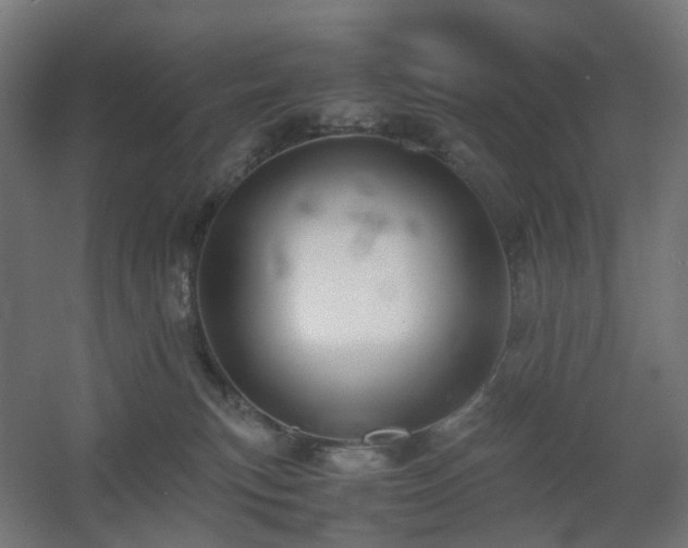 X0000060550183200511031226