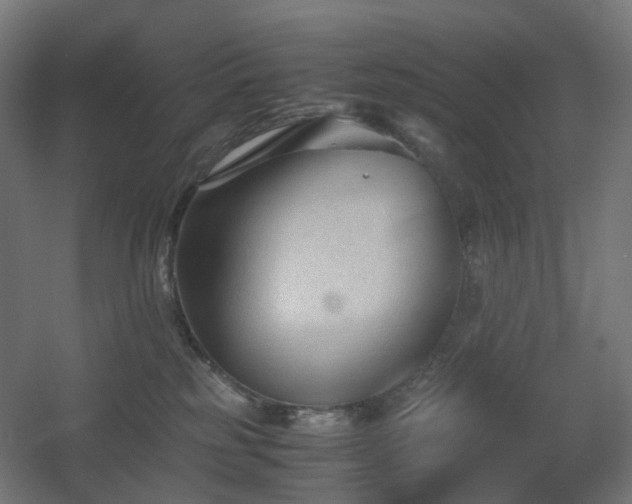 X0000060550185200511031226