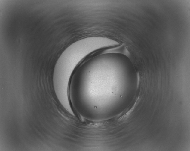 X0000060550186200511031226