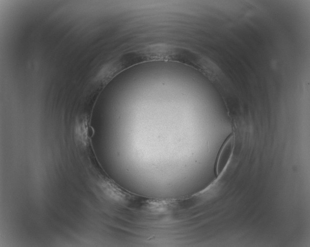 X0000060550190200511031226