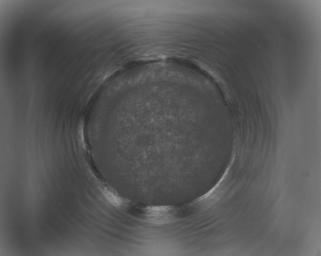 X0000060550192200511031226