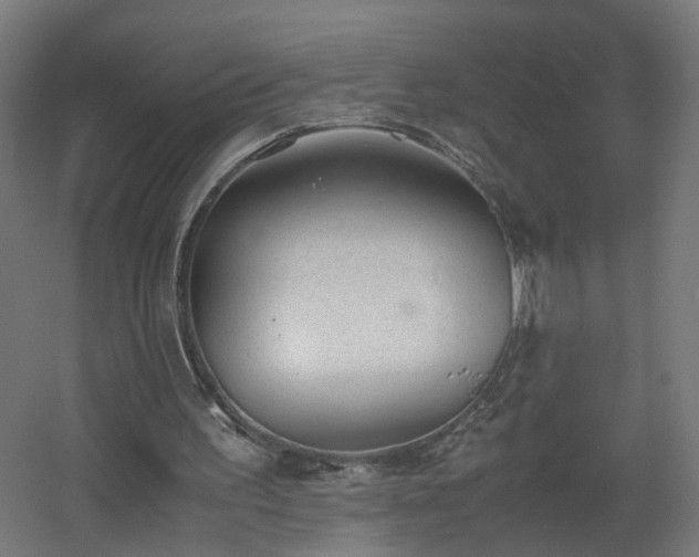 X0000060550195200511031226