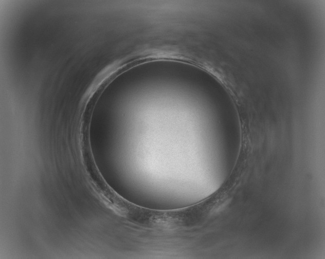 X0000060550199200511031225