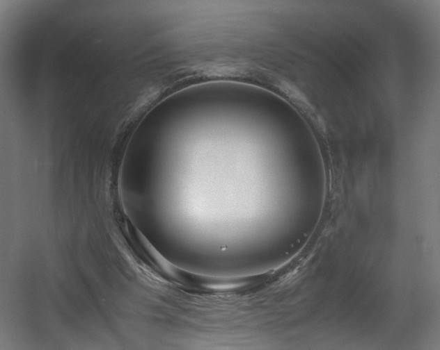 X0000060550201200511031225