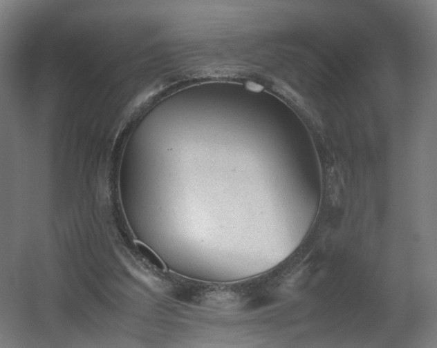 X0000060550203200511031225