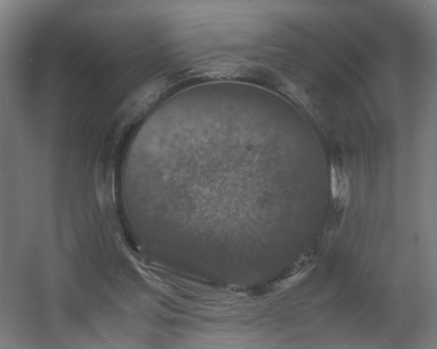 X0000060550205200511031225