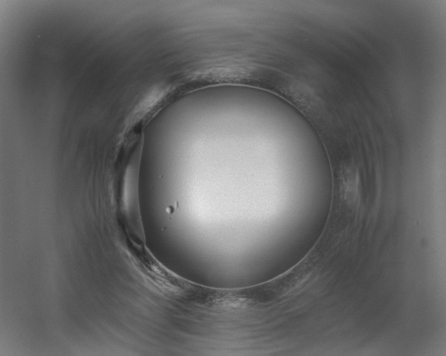 X0000060550206200511031225
