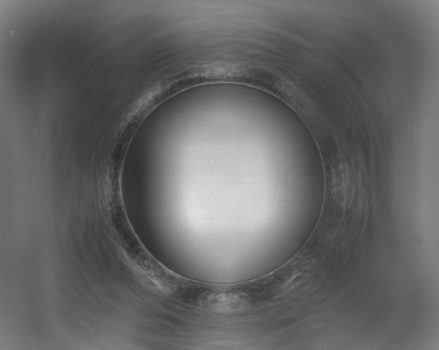 X0000060550208200511031225