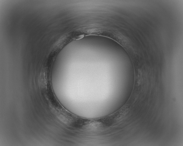 X0000060550210200511031225