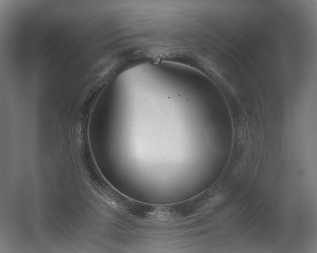 X0000060550211200511031225