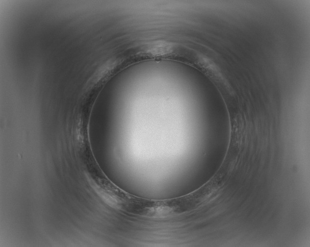 X0000060550212200511031225