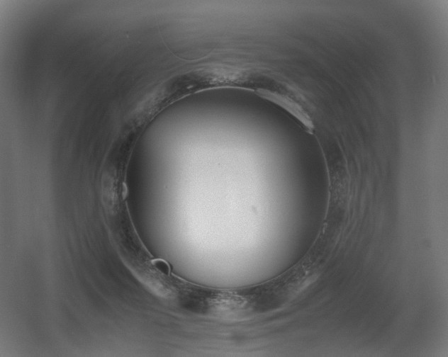 X0000060550215200511031225
