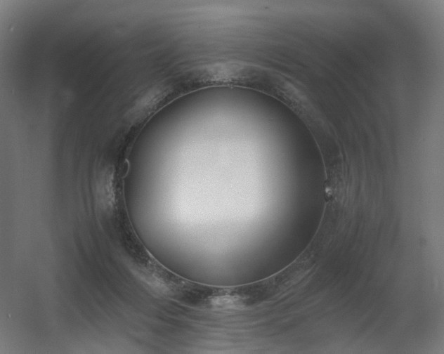 X0000060550216200511031225