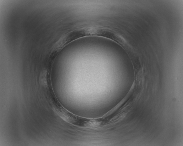 X0000060550217200511031225