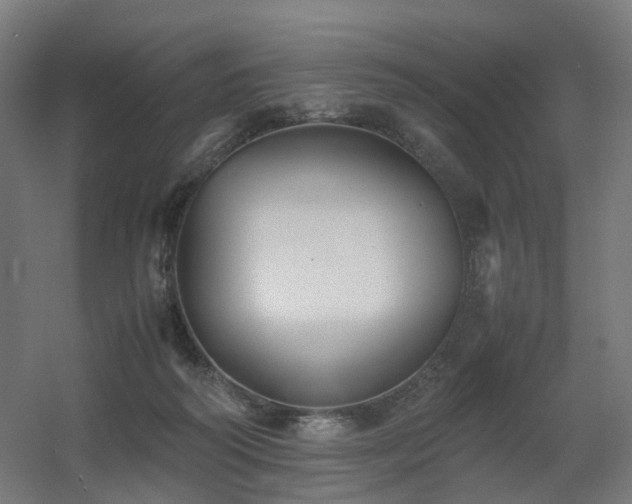 X0000060550218200511031225