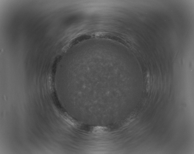 X0000060550222200511031225