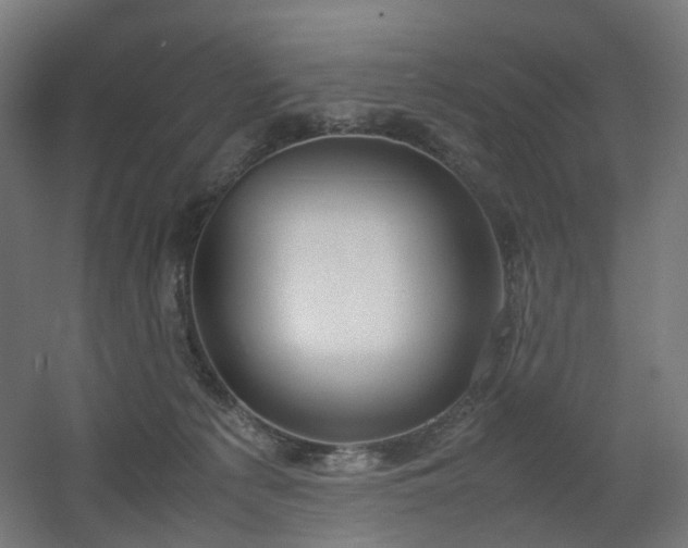 X0000060550225200511031225