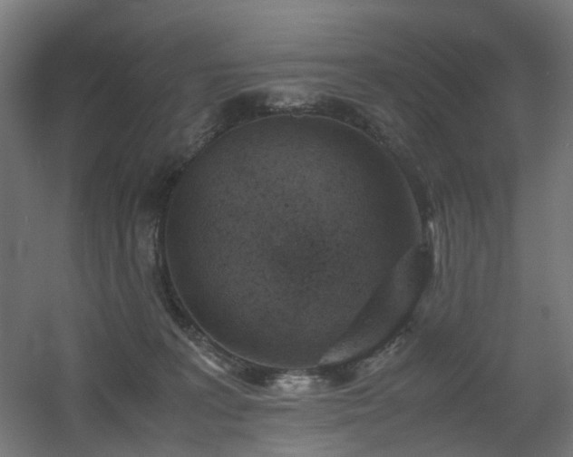X0000060550227200511031225