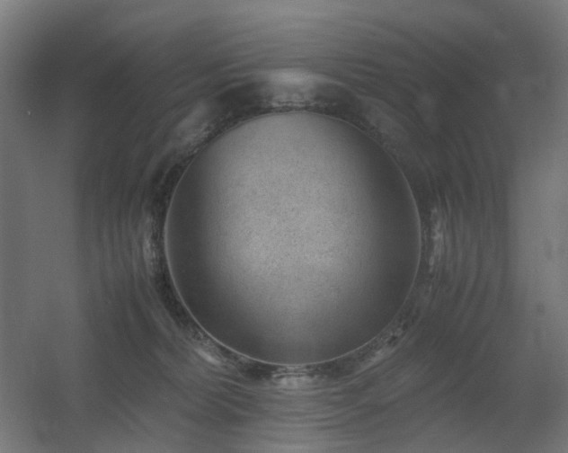 X0000060550228200511031225