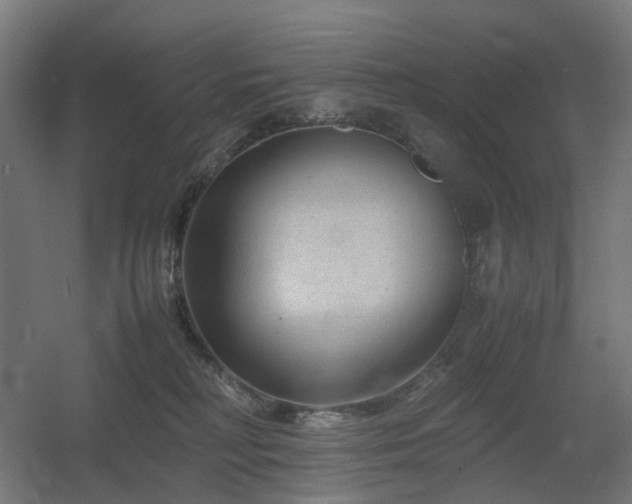 X0000060550230200511031225