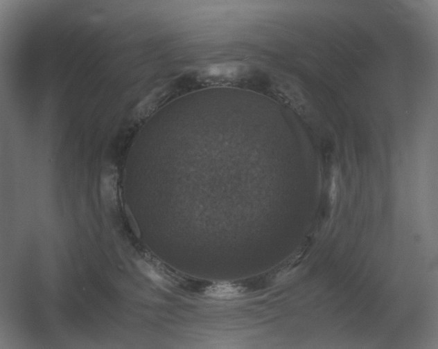 X0000060550231200511031225