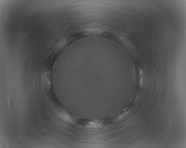 X0000060550232200511031225