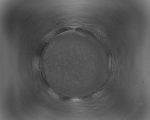 X0000060550233200511031225