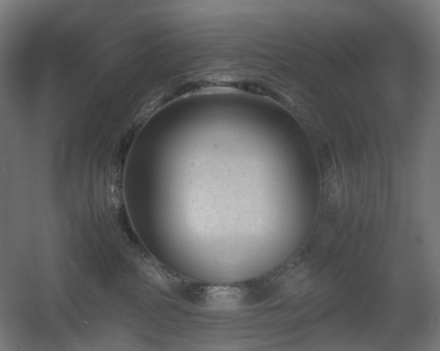 X0000060550234200511031225