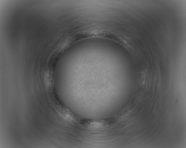 X0000060550236200511031225