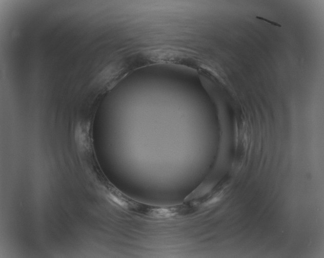 X0000060550239200511031225