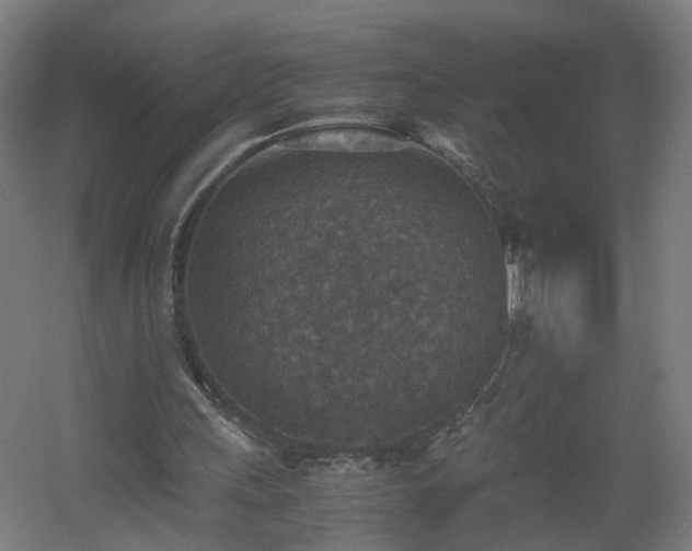 X0000060550243200511031224