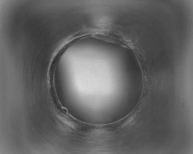 X0000060550246200511031224